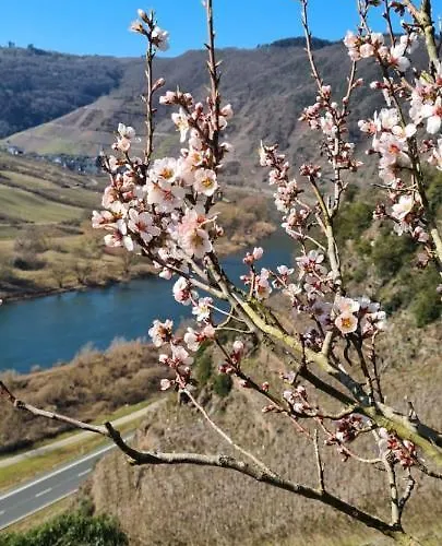 Hébergement de vacances Kaliva *